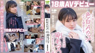 SDAB-334 这个冬天 成为浪人生的内向美少女被开发出白皙A罩杯身材 从未修剪的浓密阴毛中感受到丝丝快感 长野县松本市居住 桜庭菜乃花 18岁 AV出道 樱庭菜乃花