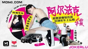 HPP-0013 阿尔法克车震 超激初体验访谈 玥可岚