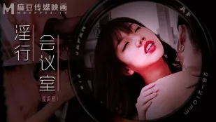 MDWP-0023 淫行会议室