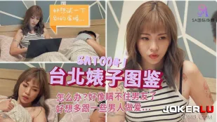 SAT0041 台北婊子图鉴1