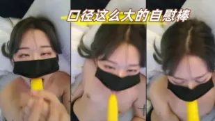 kbj-23072256 口径这么大的自慰棒