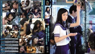 [数位破解无码版]TEAM-065 绝顶高潮的女子校 辻本杏