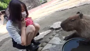 FC2PPV-4265371 女大学生带入森林深处户外猥亵口中射精