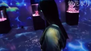 FC2PPV-4566520 传奇美女S酱私服初水族馆